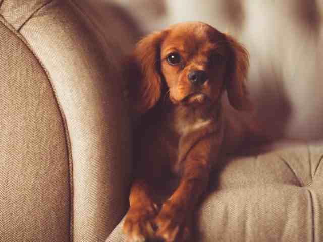 Timbercreek East Townhomes - Photo 3 of 14