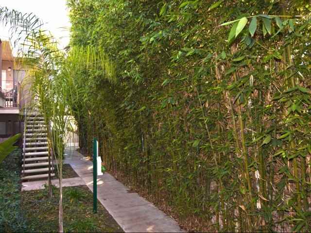 Elan Pacific Palms - Photo 3 of 21