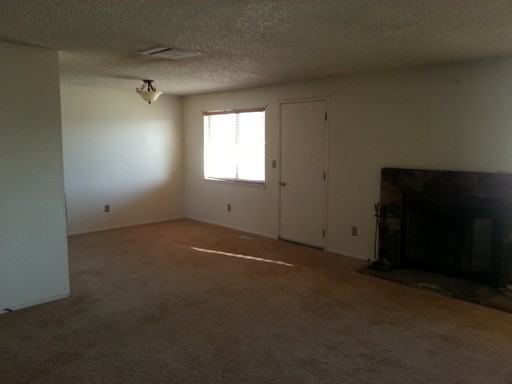 194 Six Mile Canyon Rd - Photo 3 of 7