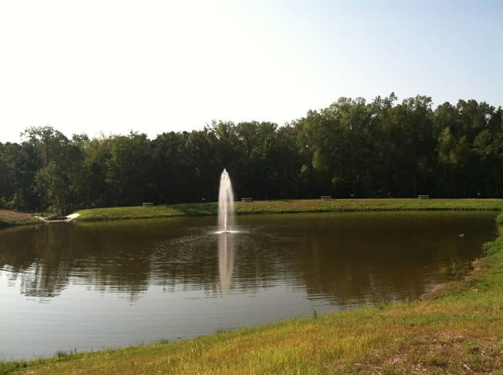 Forrest Hills Apartments - Photo 2 of 8