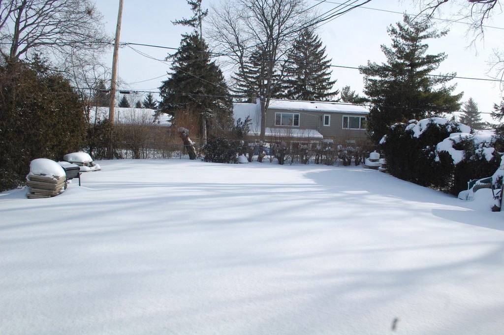 1546 Western Rd - Photo 2 of 7