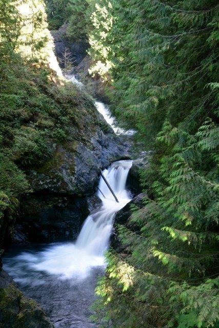 Mount Si Apartments - Photo 2 of 5