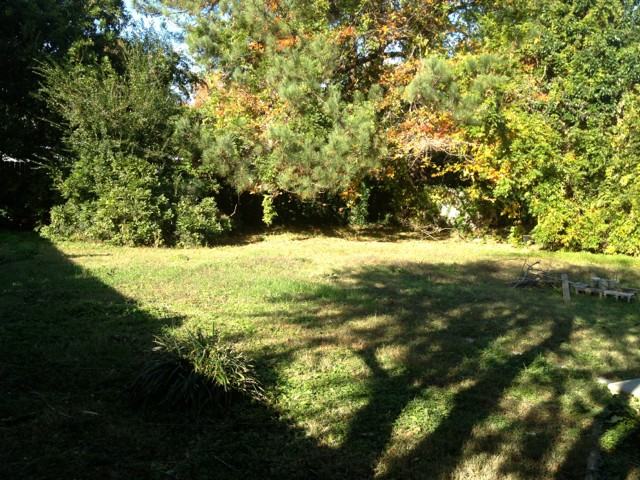217 Bob Ln - Photo 3 of 10