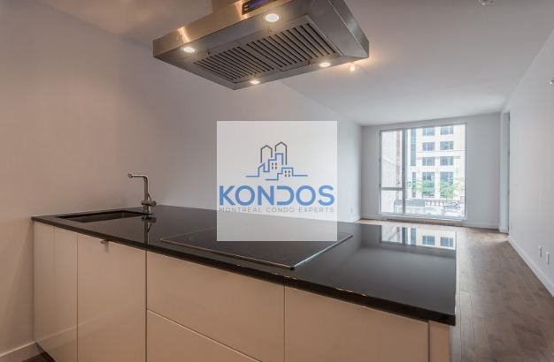 635 Rue Saint Maurice #205