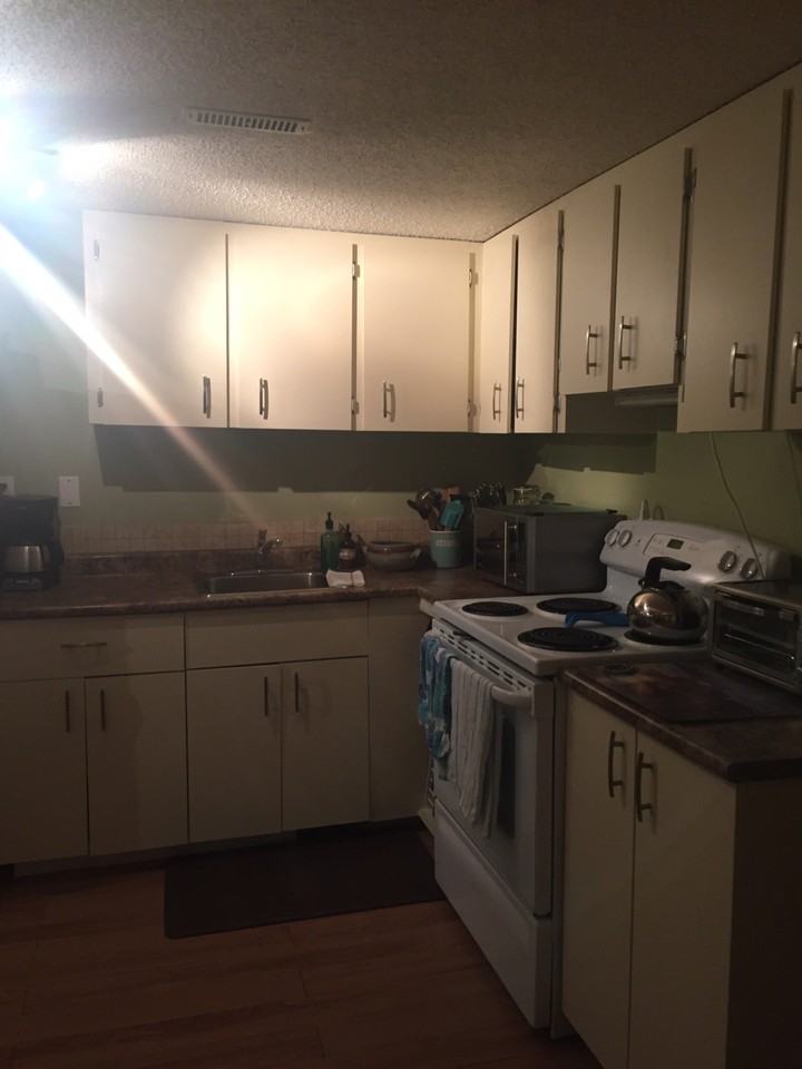 522 Albert Ave, Saskatoon, SK S7N 1G5 1 Bedroom Apartment for Rent