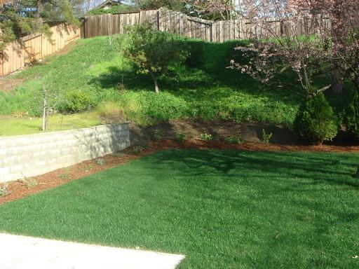 353 Neilson Ct - Photo 3 of 16