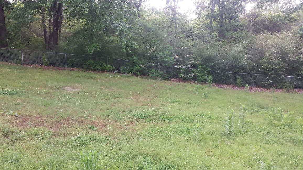 703 Bahia Ln - Photo 3 of 11