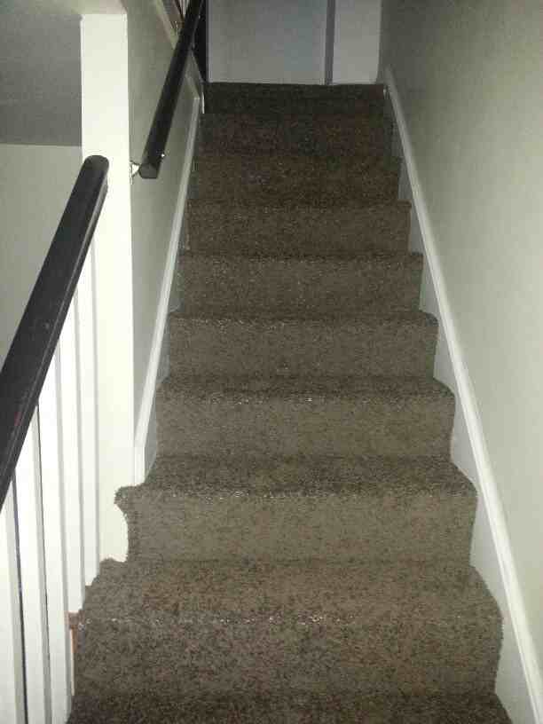 1204 Rodman Rd - Photo 3 of 11