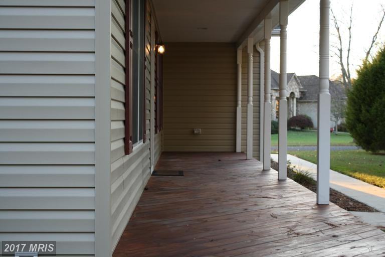 18162 White Tail Way - Photo 3 of 14
