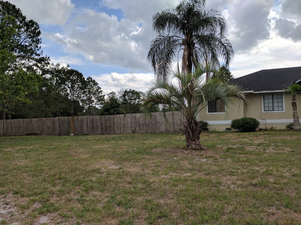 31804 Tally Ho Ln - Photo 2 of 23