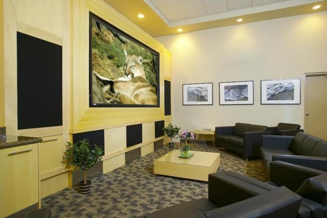 Discovery - Photo 3 of 15