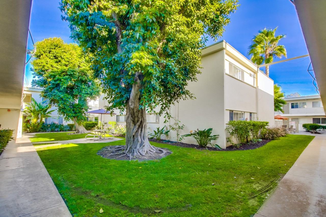 Albert's College - Photo 3 of 17