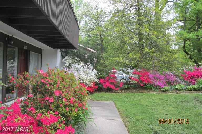 7025 Barkwater Ct - Photo 2 of 18