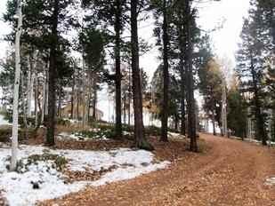 6911 US-24 - Photo 3 of 12