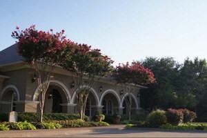 Sonsrena Apartments - Photo 3 of 28