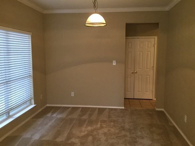 1049 Choke Cherry Ln - Photo 3 of 16