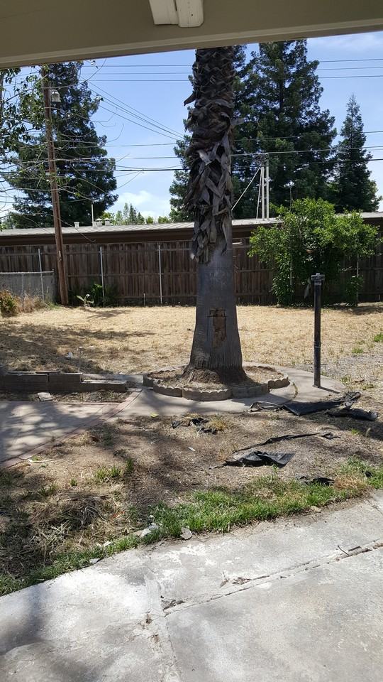 4340 Soledad Ave - Photo 2 of 10