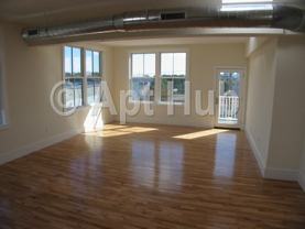 Ivaloo Street - Photo 1 of 1