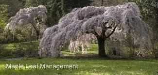 2511 Lake Washington Blvd E - Photo 2 of 15