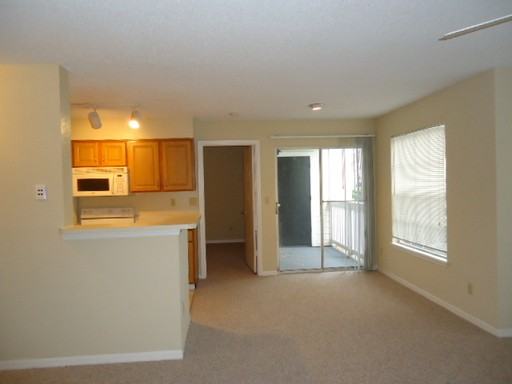 1091 S Hiawassee Rd #211