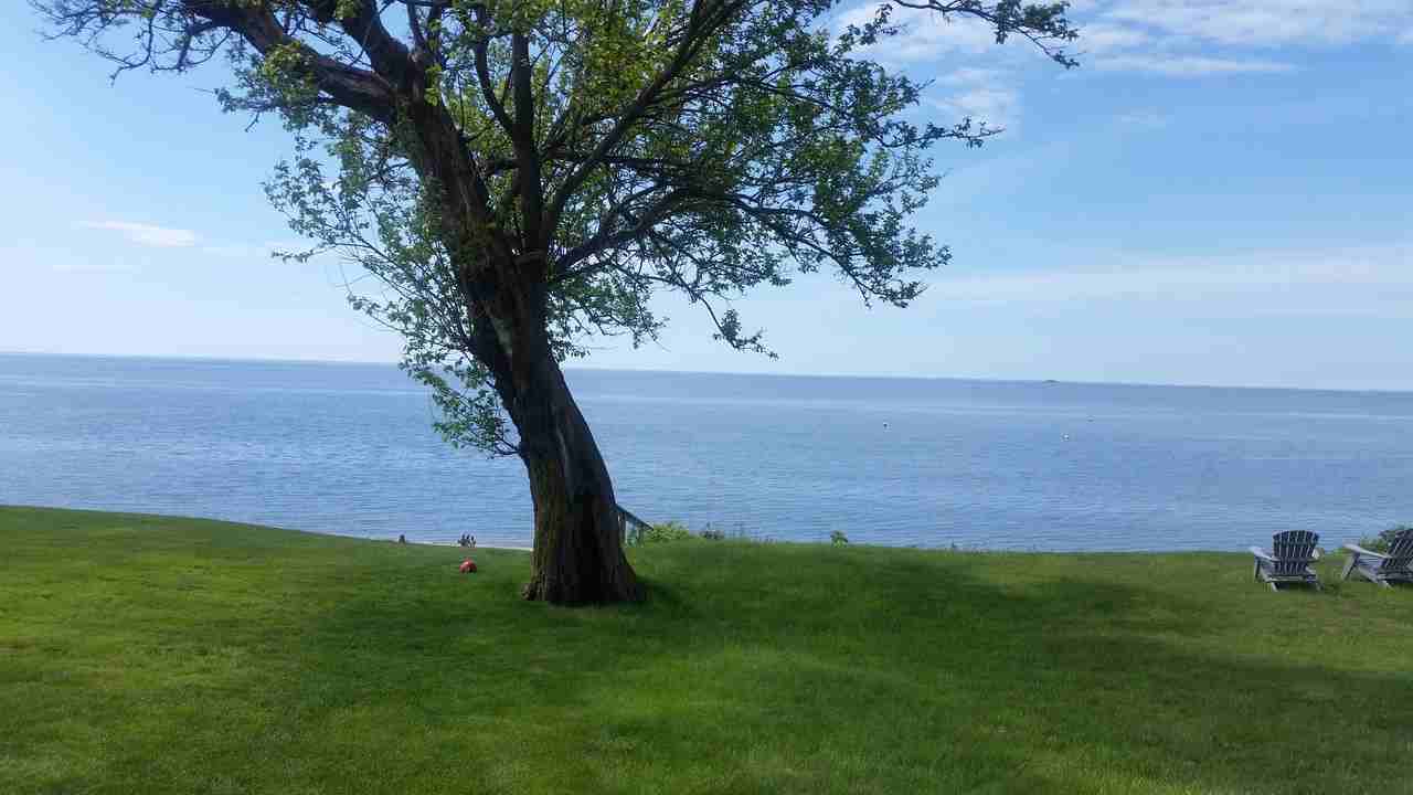 37 Hartford Ave - Photo 2 of 21