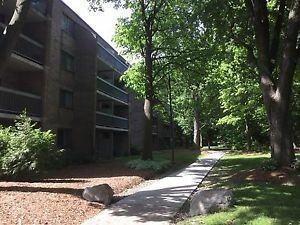 668 Rue de Gaspé - Photo 2 of 17