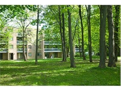 668 Rue de Gaspé - Photo 3 of 17