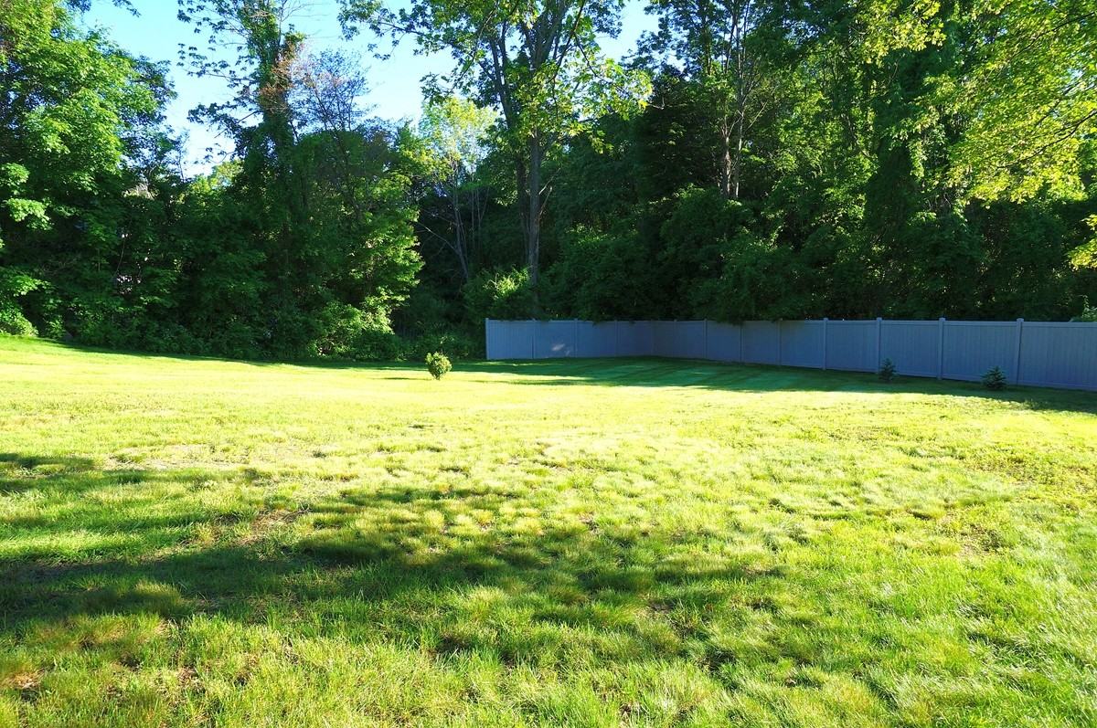 523 Norfolk St #1 - Photo 3 of 3