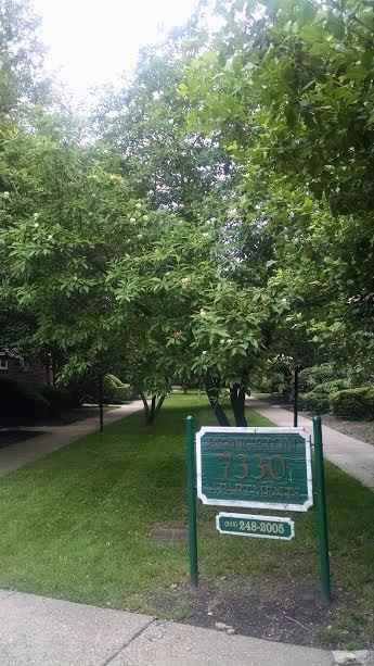 7730 Germantown Ave - Photo 2 of 12