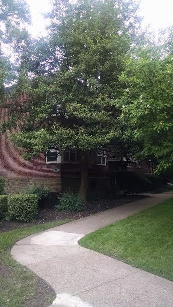 7730 Germantown Ave - Photo 3 of 12