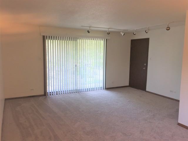 14533 Lamon Ave #3S - Photo 3 of 10