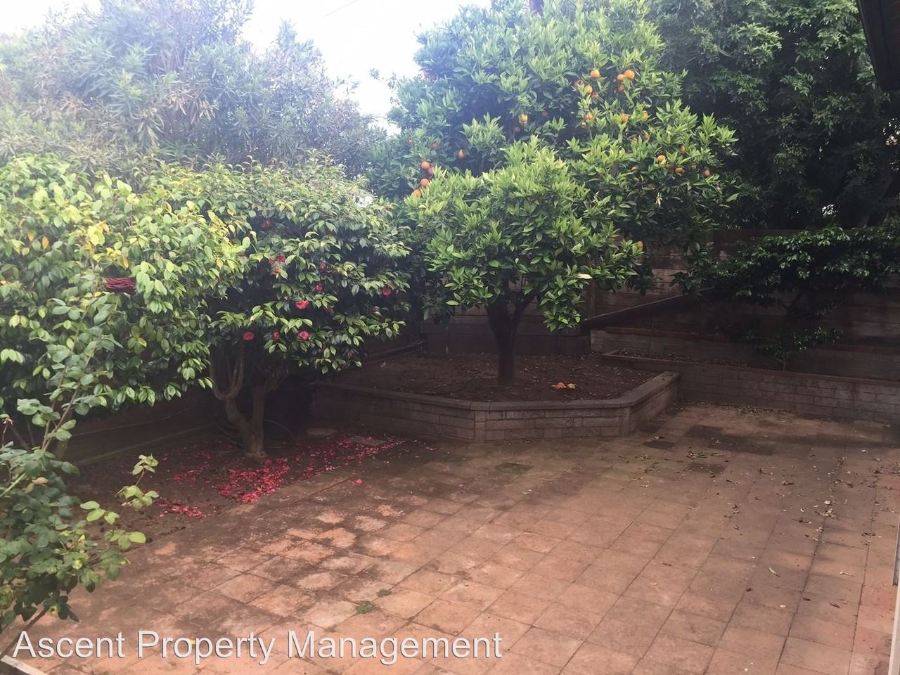 529 Savoy St - Photo 3 of 9