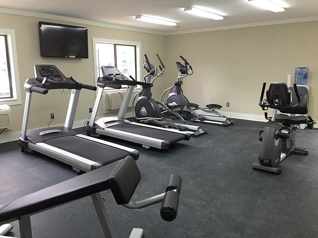 Wellspring - Photo 2 of 29