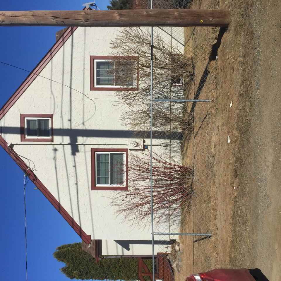 1003 E Camp St - Photo 3 of 4