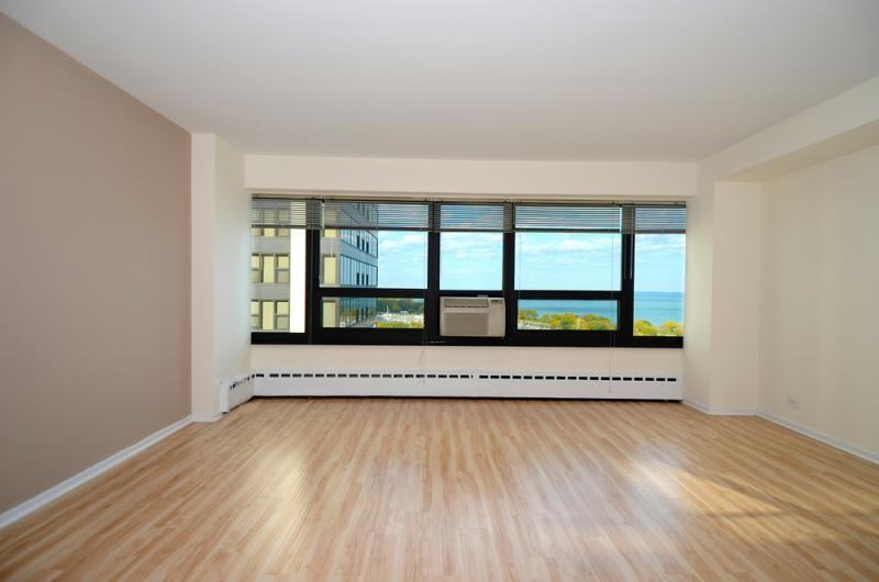 3133 N Lake Shore Dr