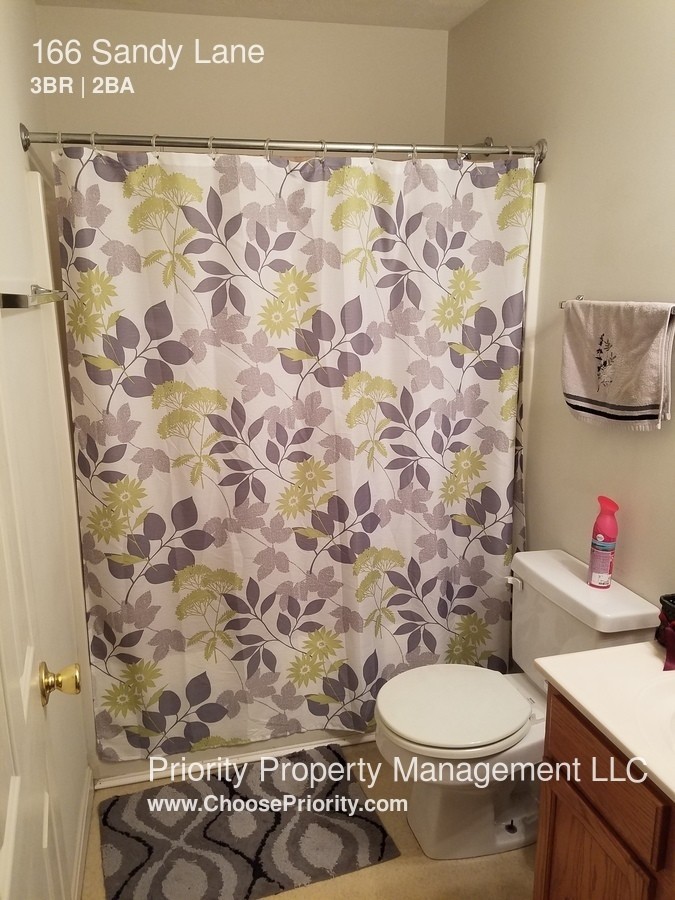 166 Sandy Ln - Photo 3 of 5
