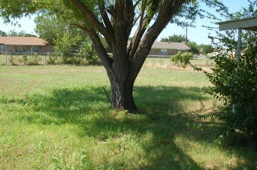 404 Green Acres Dr - Photo 3 of 18