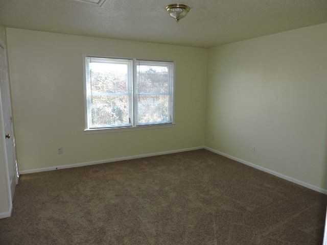 Cedarwood Drive - Photo 3 of 4