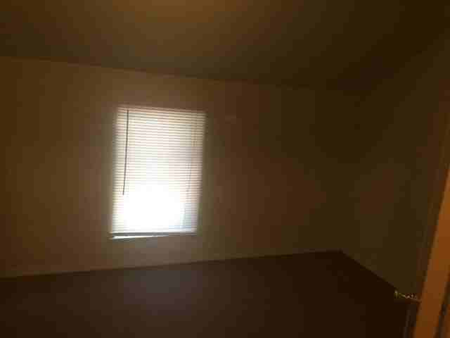 723 Wright St. - Back - Photo 3 of 8