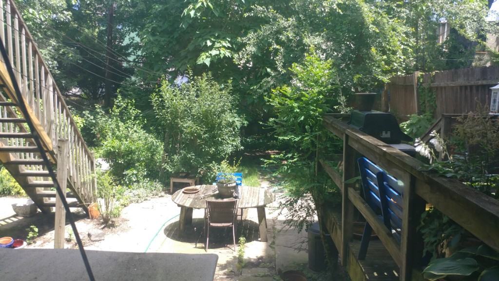 425 Union St 1 - Photo 2 of 8