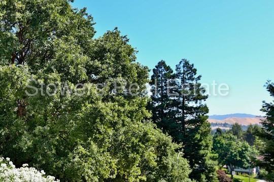 1825 N Forest Hill Pl - Photo 2 of 26