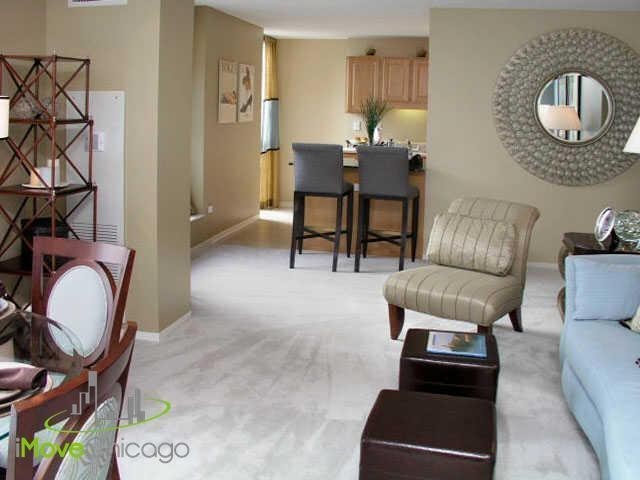 402 E South Water St #4511