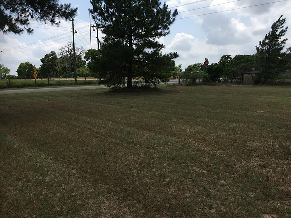 31144 Robinwood Dr - Photo 2 of 30