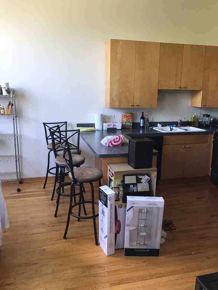 1446 N Leavitt St - Photo 3 of 5