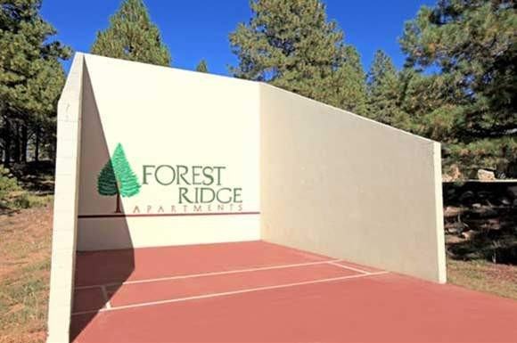 The Place At Forest Ridge - Photo 2 of 50