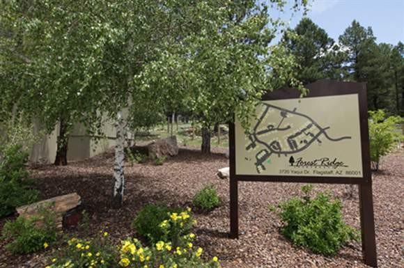 The Place At Forest Ridge - Photo 3 of 50