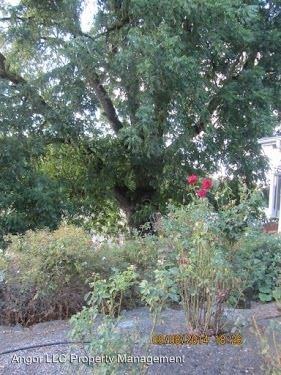 13375 Maxfield Creek Rd - Photo 3 of 5