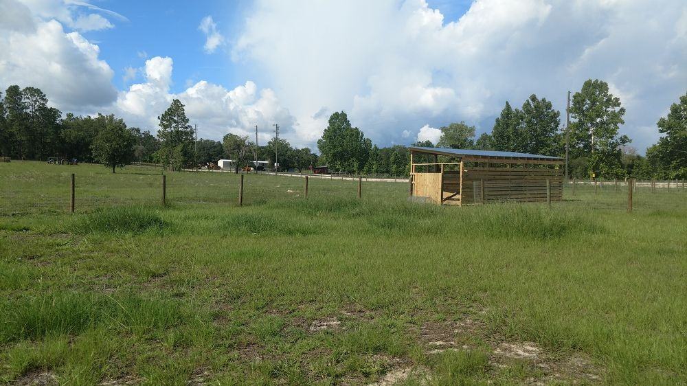 2951 SE 114 Ave - Photo 2 of 13