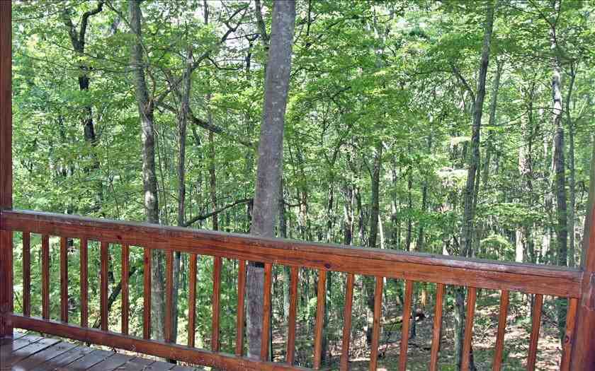 557 Skyview Dr - Photo 2 of 19