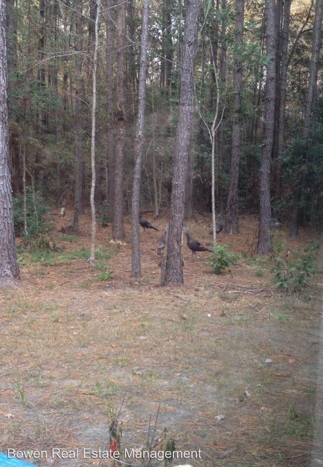 528 Richlands Rd - Photo 3 of 43